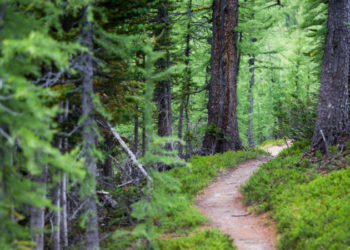 Sentier Doubs