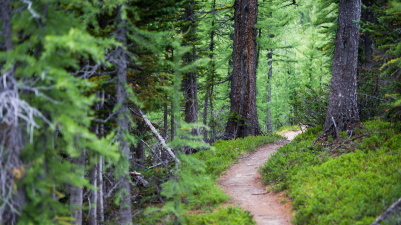 Sentier Doubs