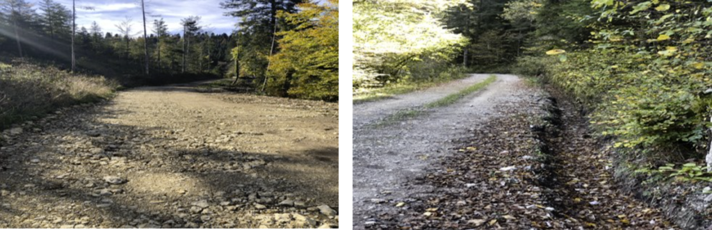 chemin neuf