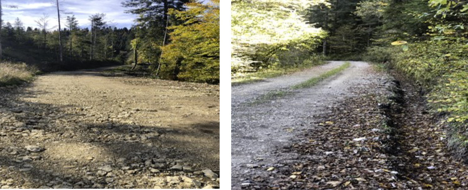 chemin neuf