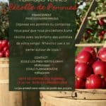 red green photo modern apple picking harvest fall festival poster 1