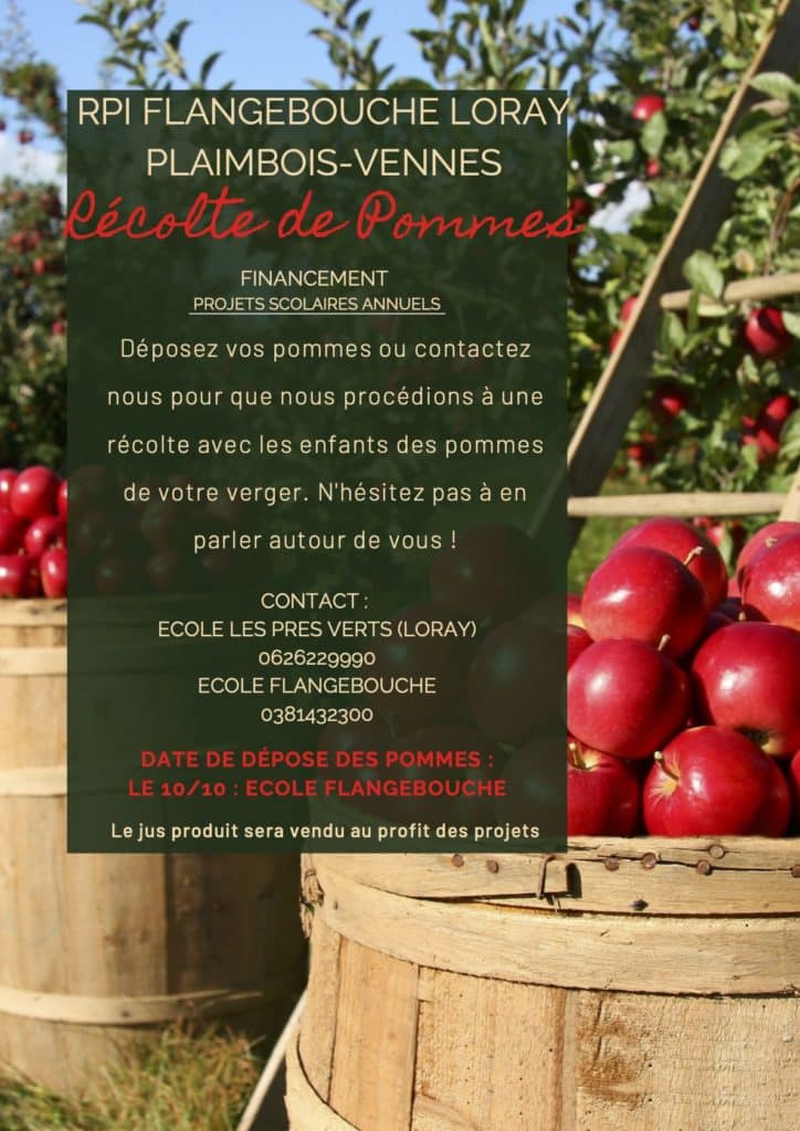 red green photo modern apple picking harvest fall festival poster 1