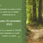 visite foret