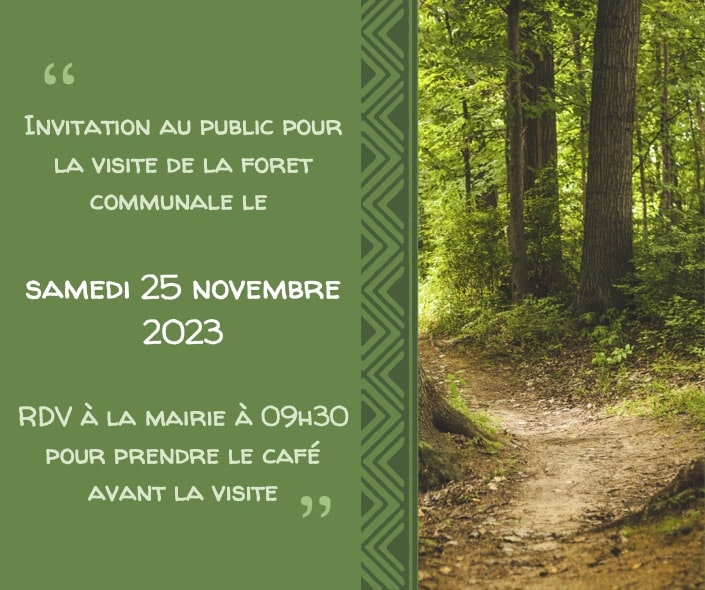 visite foret