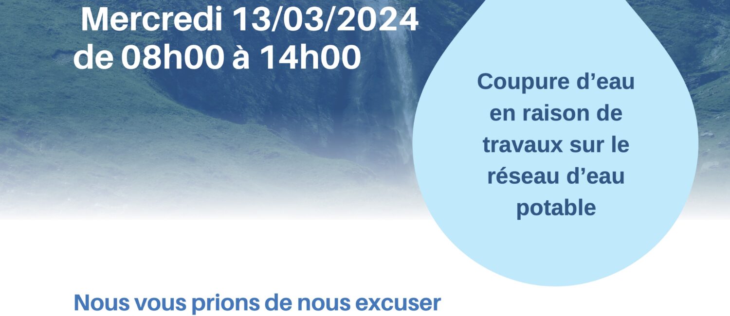 blue white conserve water poster (3)