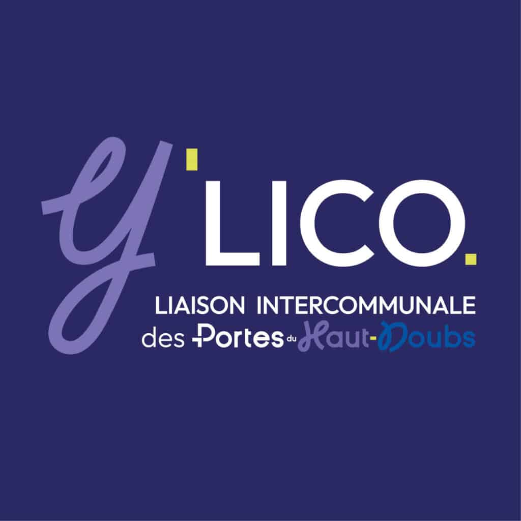 y'lico réseaux sociaux
