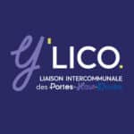 y'lico réseaux sociaux