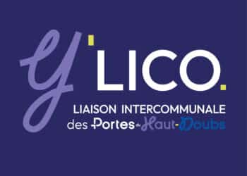 y'lico réseaux sociaux